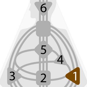 Дизайн Человека — Эмоциональный Авторитет