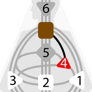 Дизайн Человека — Эго-манифестируемый Авторитет