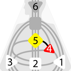 Дизайн Человека — Эго-проецируемый Авторитет