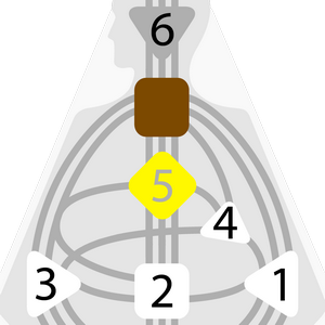 Дизайн Человека — Самопроецируемый Авторитет