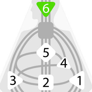 Дизайн Человека — Внешний Авторитет